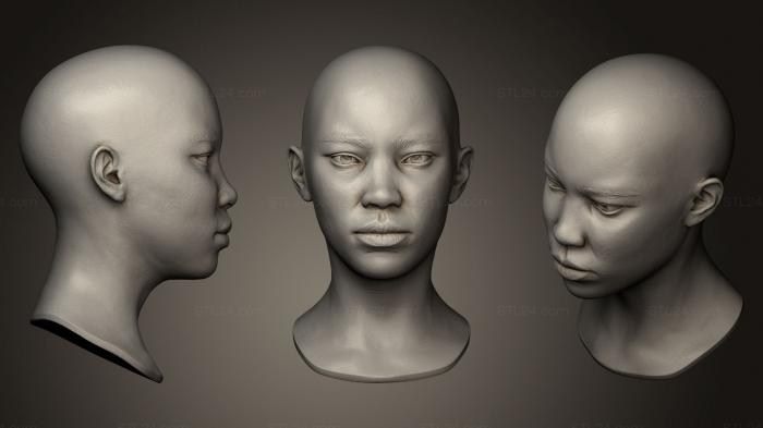 Анатомия скелеты и черепа (Женская Голова 1, ANTM_0104) 3D модель для ЧПУ станка